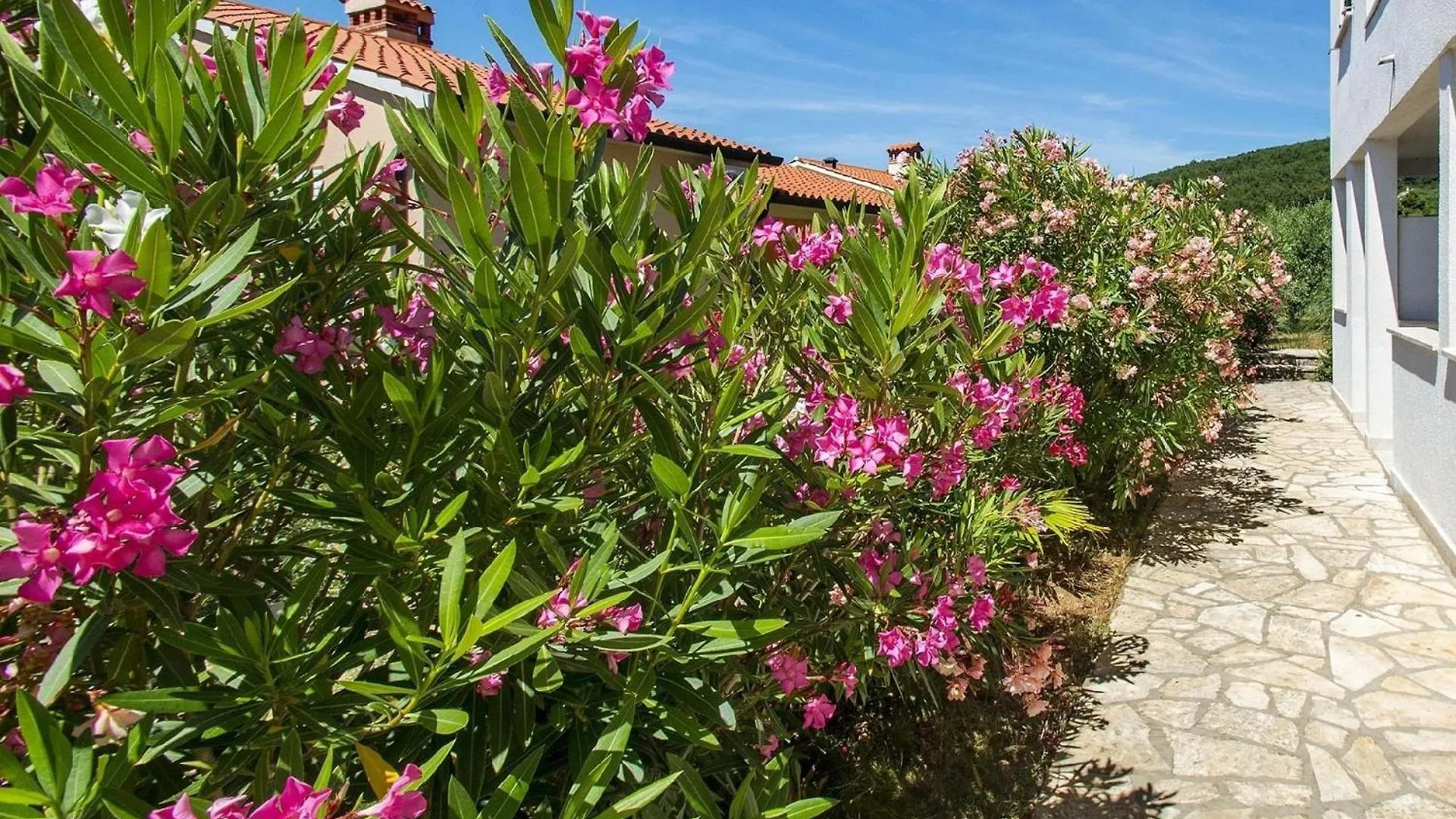 Ferienwohnung Fuer 4 Personen Ca 45 Qm In Rabac, Istrien Bucht Von Rabac